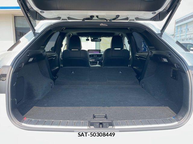 Lexus RX 2016-08 8627519-13