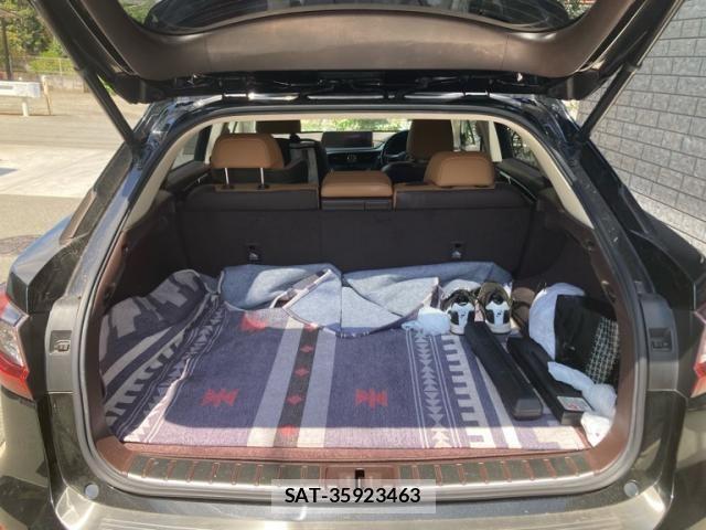 Lexus RX 2016-06 8685862-24