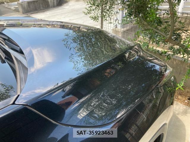 Lexus RX 2016-06 8685862-5