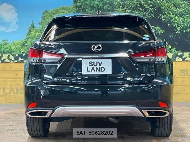 Lexus RX 2019-09 690179-15