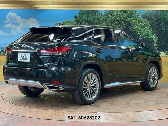 Lexus RX 2019-09 690179-17