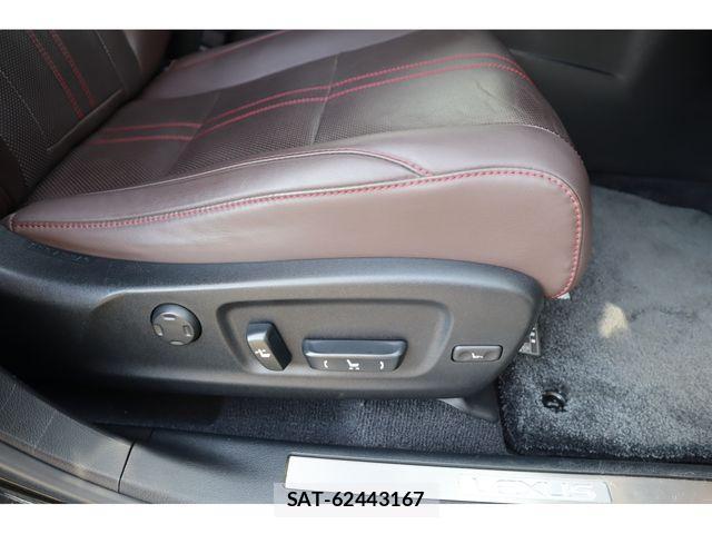 Lexus RX 2020-09 3674912-19