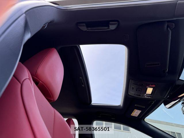 Lexus RX 2021-01 6612933-13