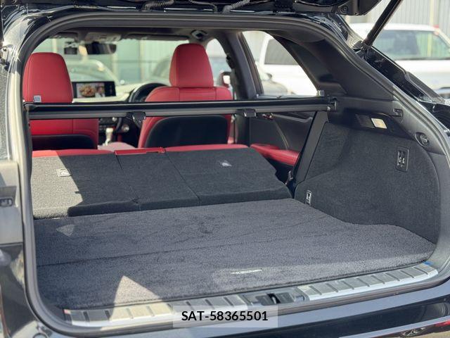 Lexus RX 2021-01 6612933-18