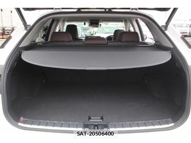 Lexus RX 2018-11 6672308-28