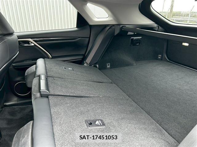 Lexus RX 2021-03 6676716-15