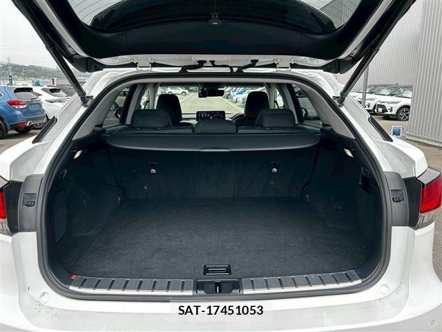 Lexus RX 2021-03 6676716-16