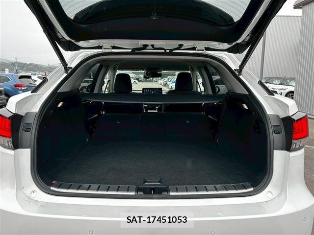 Lexus RX 2021-03 6676716-17