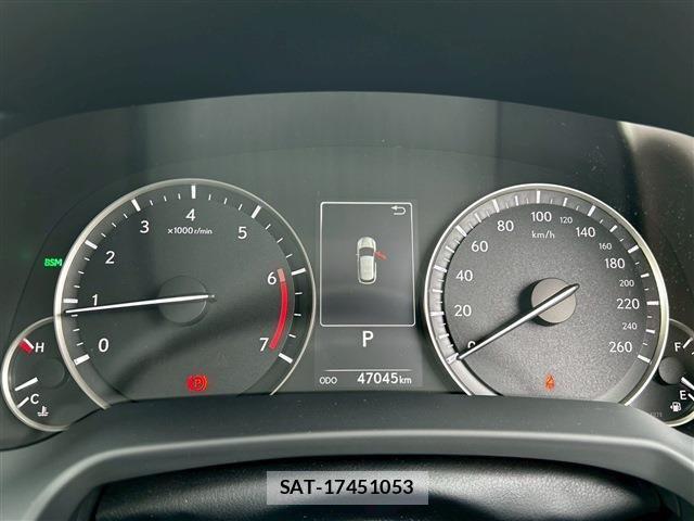 Lexus RX 2021-03 6676716-21