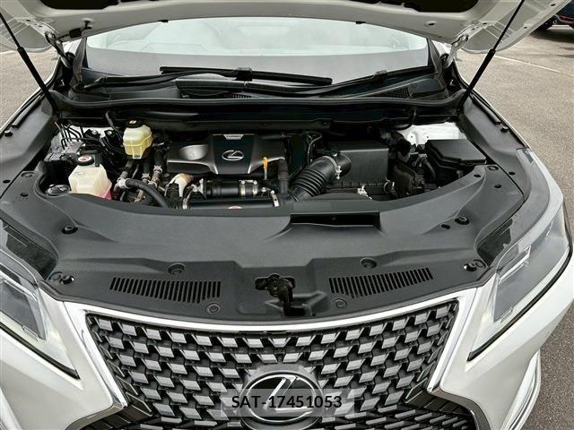 Lexus RX 2021-03 6676716-26
