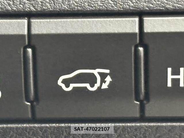 Lexus RX 2020-08 6995202-10