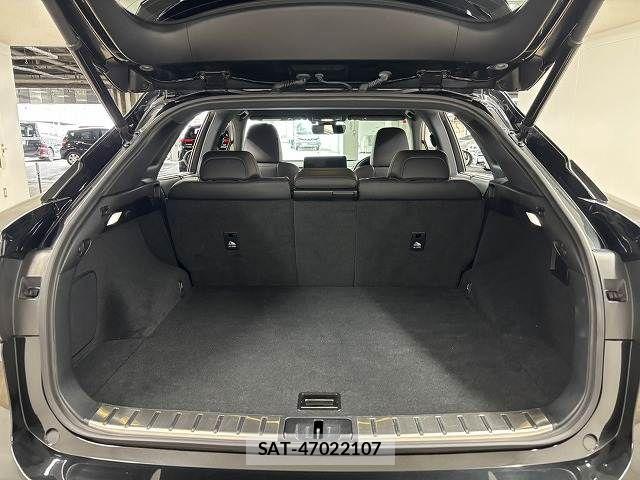 Lexus RX 2020-08 6995202-12