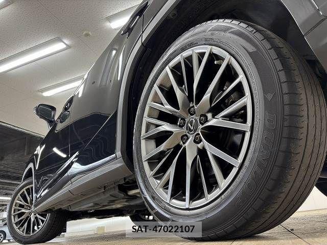Lexus RX 2020-08 6995202-18