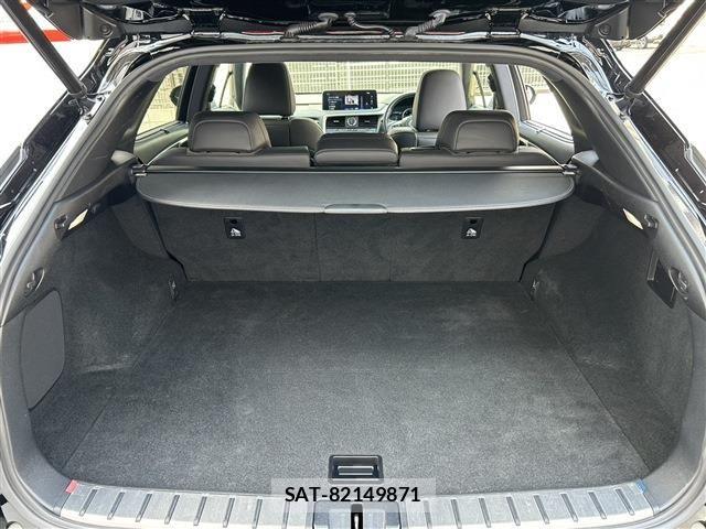 Lexus RX 2019-11 6995195-12