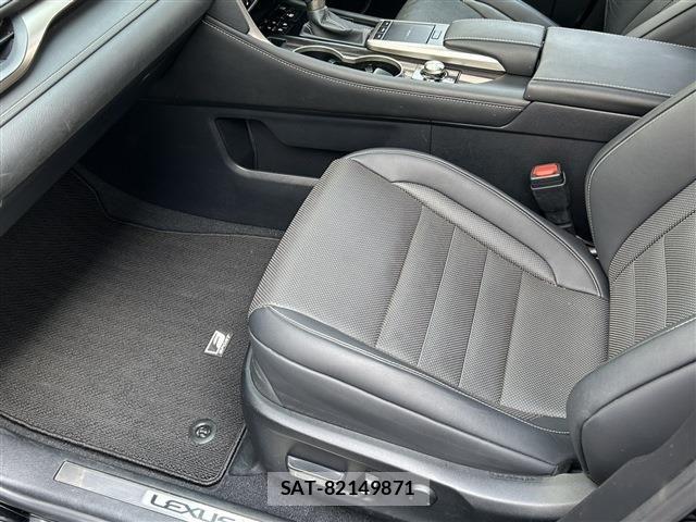 Lexus RX 2019-11 6995195-16