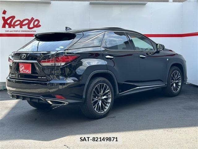 Lexus RX 2019-11 6995195-3