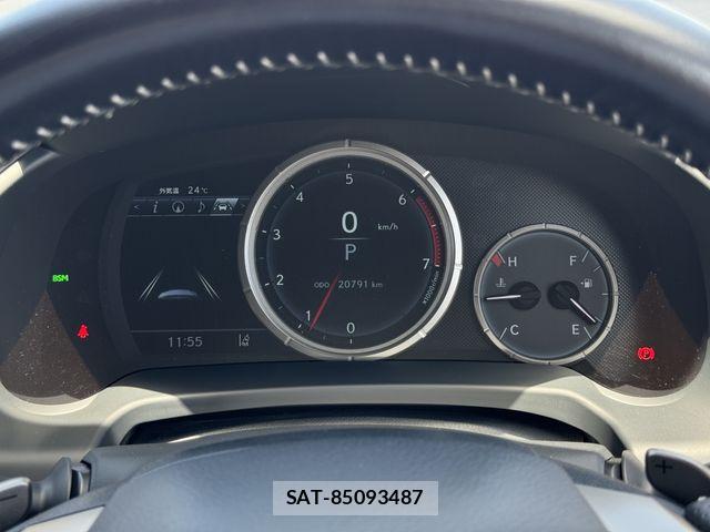 Lexus RX 2021-03 7059316-10