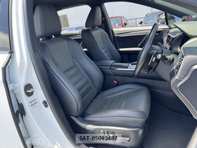 Lexus RX 2021-03 7059316-14