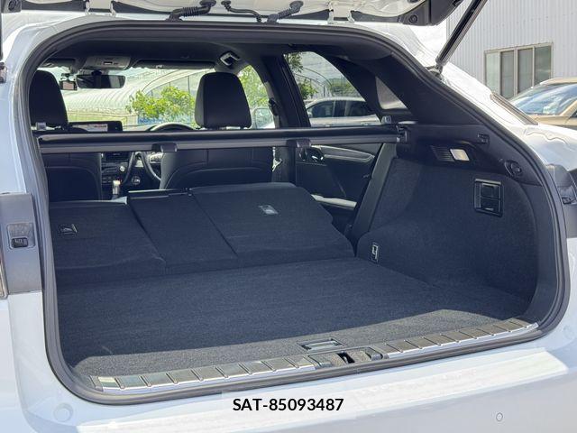 Lexus RX 2021-03 7059316-18