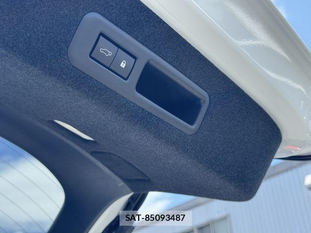 Lexus RX 2021-03 7059316-19
