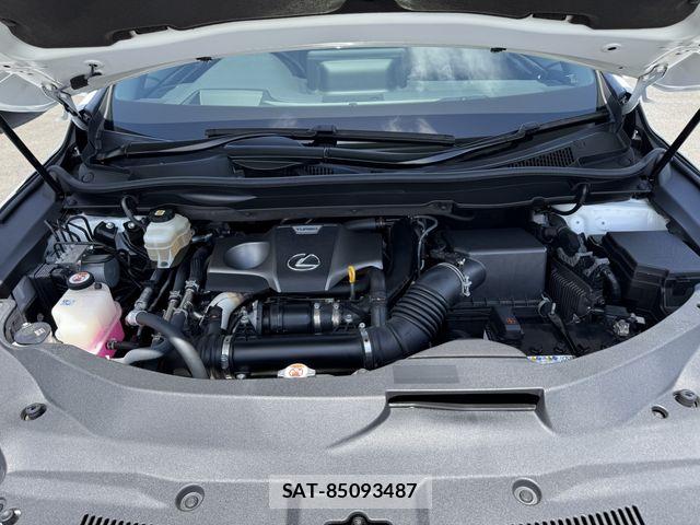 Lexus RX 2021-03 7059316-28