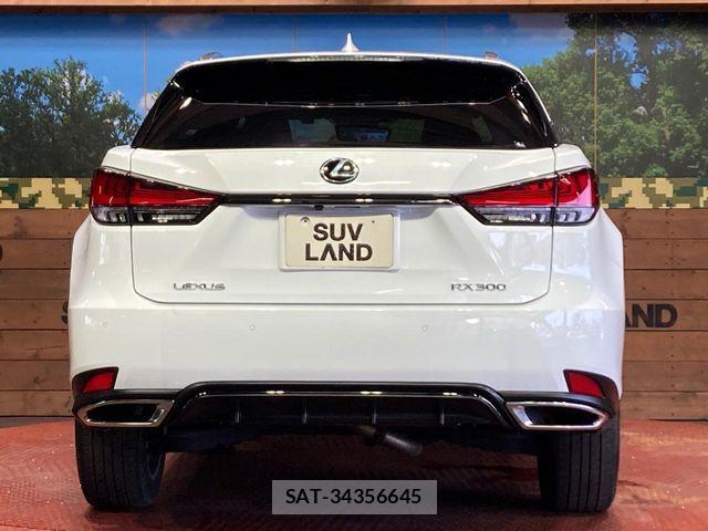 Lexus RX 2021-03 7221122-14
