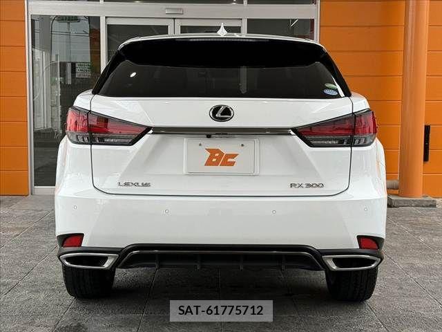 Lexus RX 2020-01 7221120-13