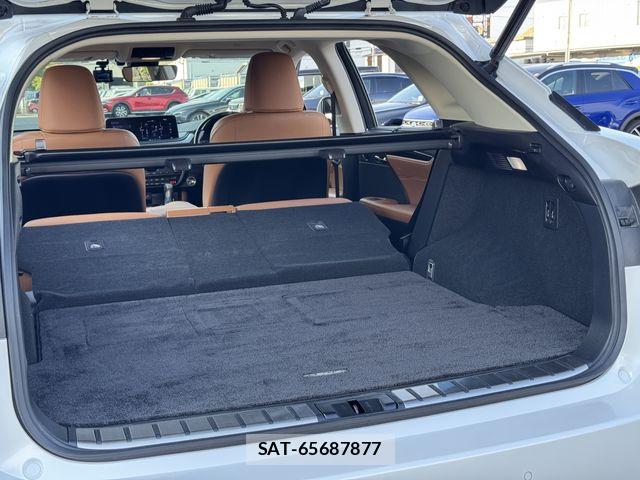 Lexus RX 2021-03 7251367-18
