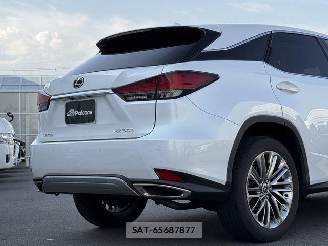 Lexus RX 2021-03 7251367-25
