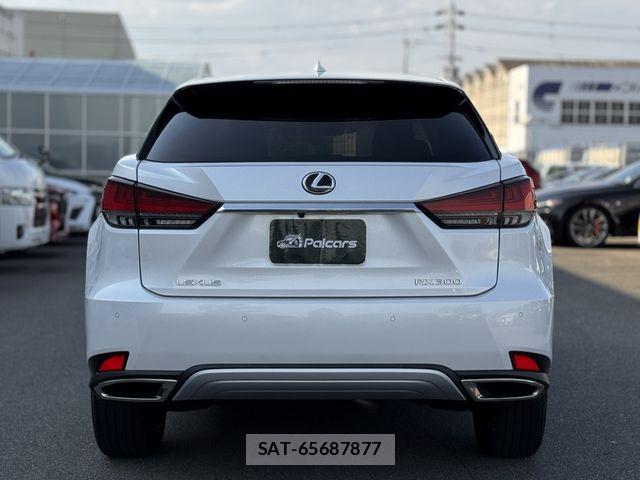 Lexus RX 2021-03 7251367-26