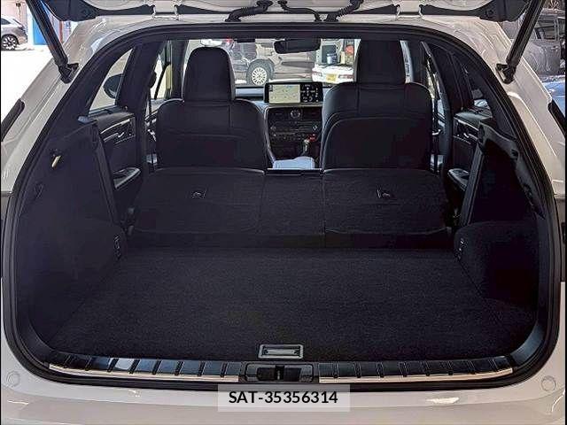 Lexus RX 2020-09 7358550-12
