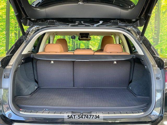 Lexus RX 2021-07 7358553-9