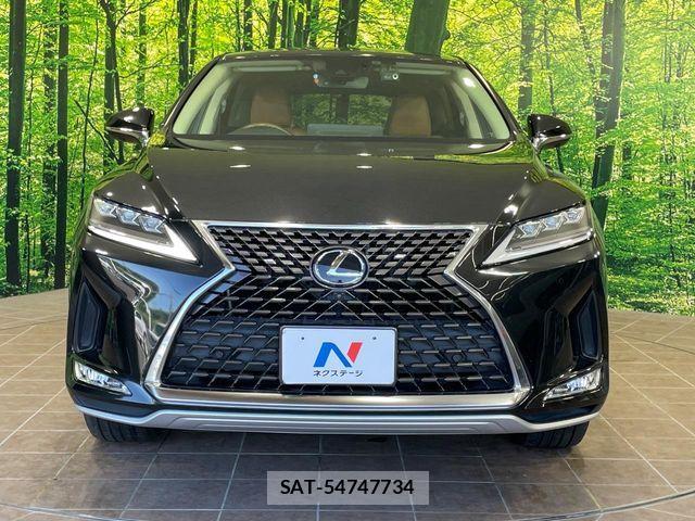Lexus RX 2021-07 7358553-13