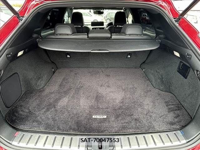 Lexus RX 2021-07 7358556-19