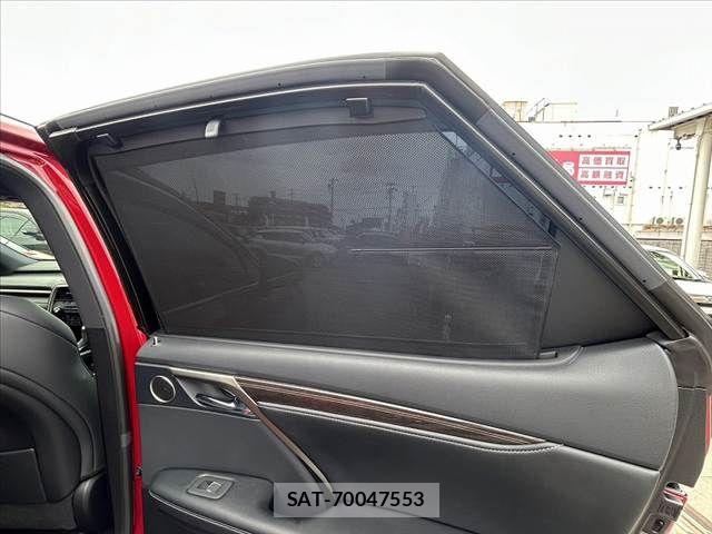 Lexus RX 2021-07 7358556-22