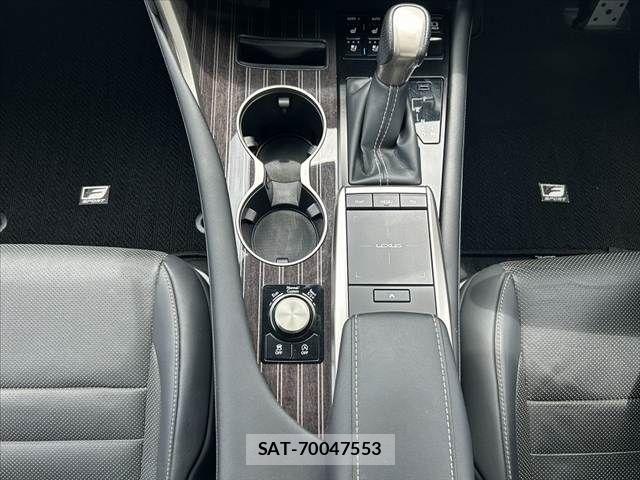 Lexus RX 2021-07 7358556-24