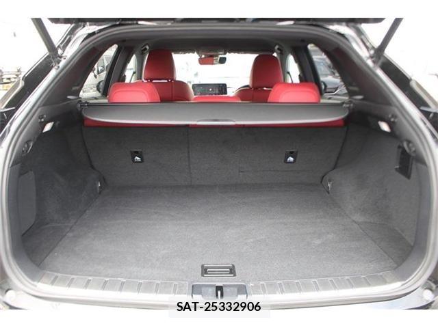 Lexus RX 2019-09 7392707-28