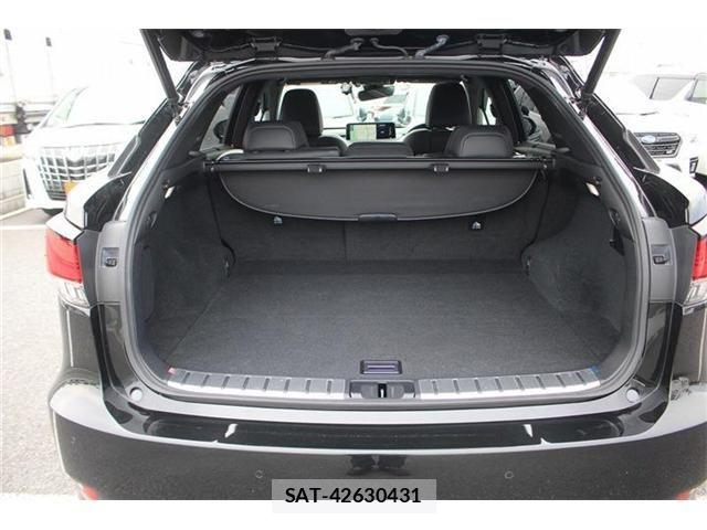 Lexus RX 2020-04 7455472-28