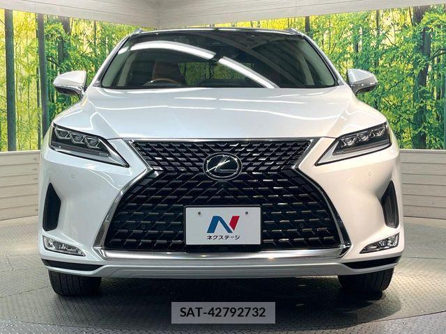 Lexus RX 2019-09 7455469-13