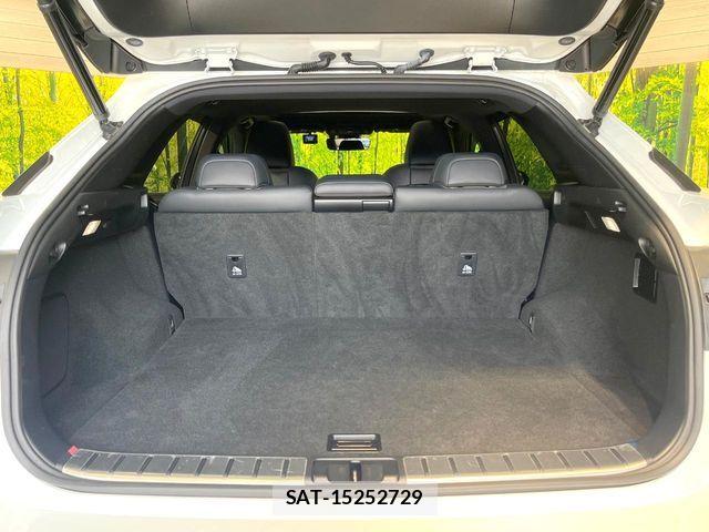 Lexus RX 2021-07 7455463-9