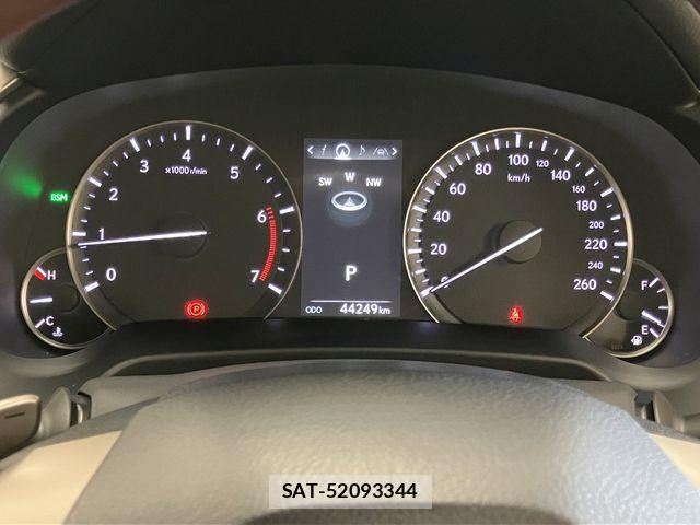Lexus RX 2020-03 7509061-28