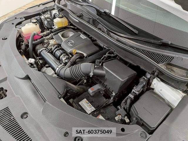 Lexus RX 2021-06 7501322-17