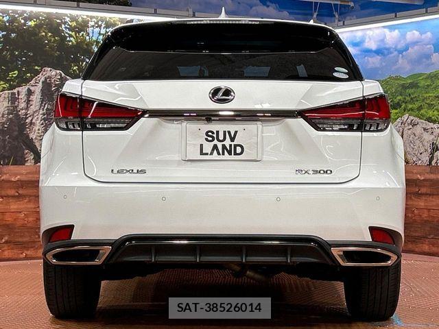 Lexus RX 2020-01 7617721-14