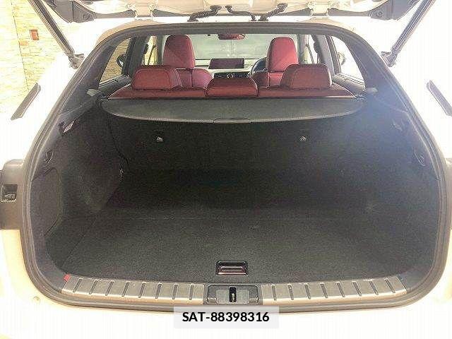 Lexus RX 2018-10 7725184-12