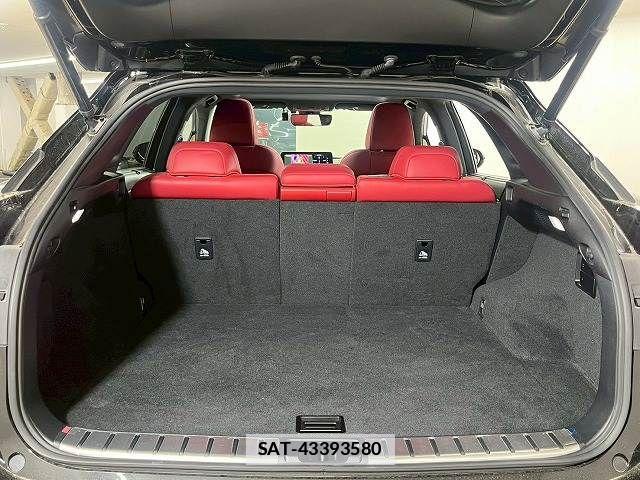 Lexus RX 2021-04 7786640-12