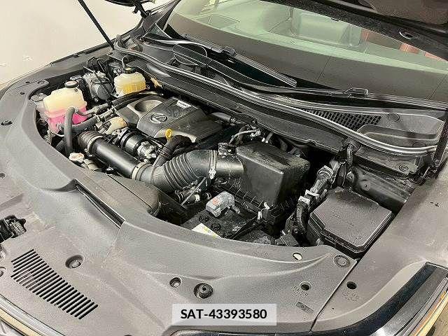 Lexus RX 2021-04 7786640-17