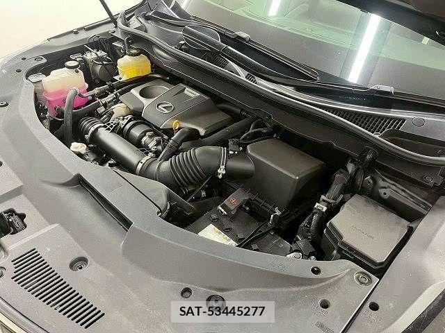 Lexus RX 2019-12 7786641-17
