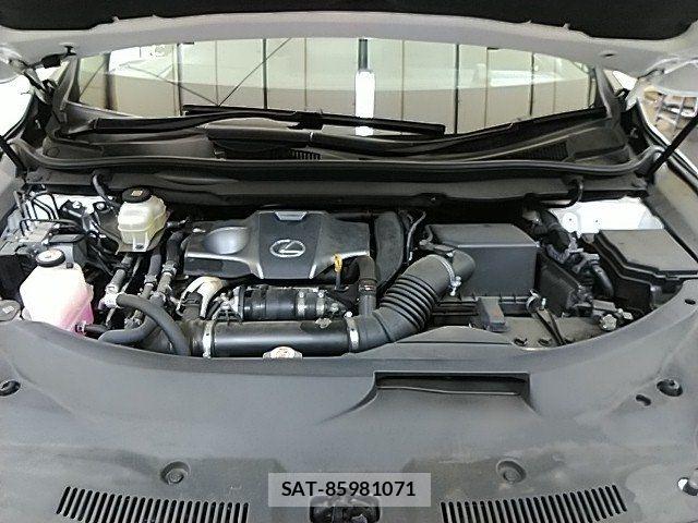 Lexus RX 2019-12 8036479-14