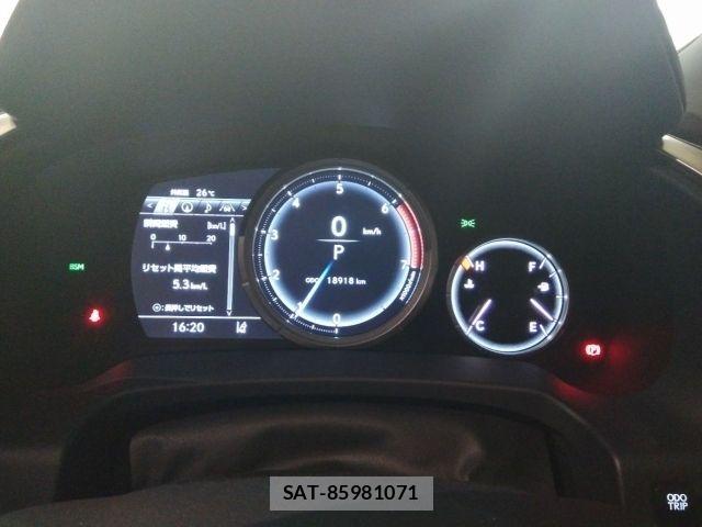 Lexus RX 2019-12 8036479-29