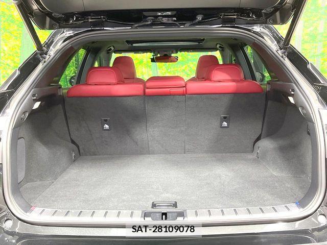Lexus RX 2020-11 8100191-9